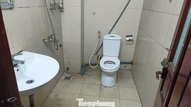 tp-c_4-jpg