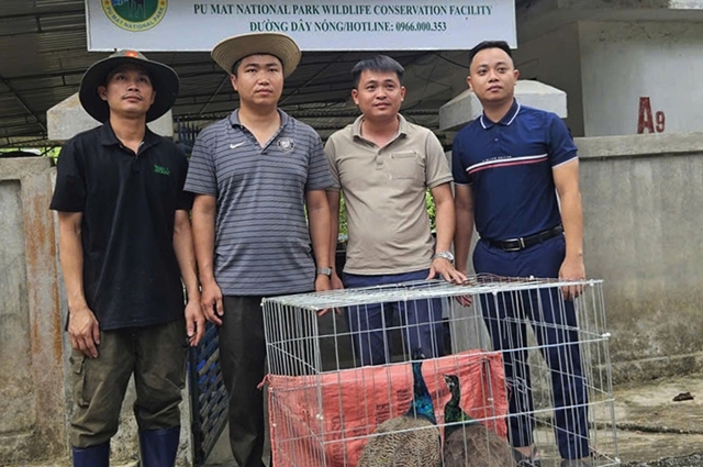 ban-giao-chim-congnghe-ananh-tien-1782042204633