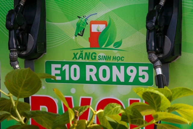 c91r3229-jpg-1780206769-5637-1780208268