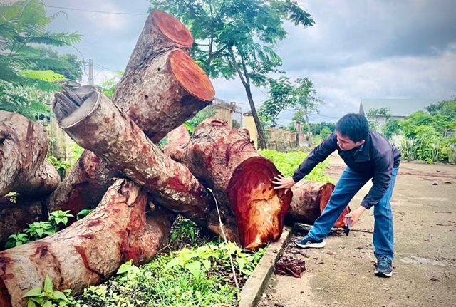 dang-uy-xa-da-giao-ubnd-xa-kiem-tra-hien-truong-xac-minh-va-bao-cao-vu-viec-nhung-den-nay-van-chua-nhan-duoc-phan-hoi