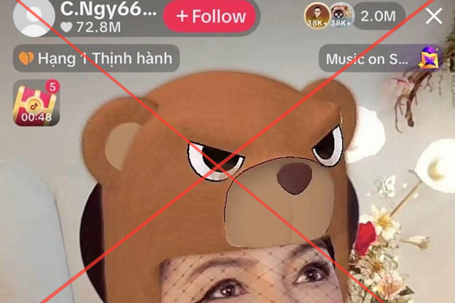 nguyenphuonghanglivestream-1109