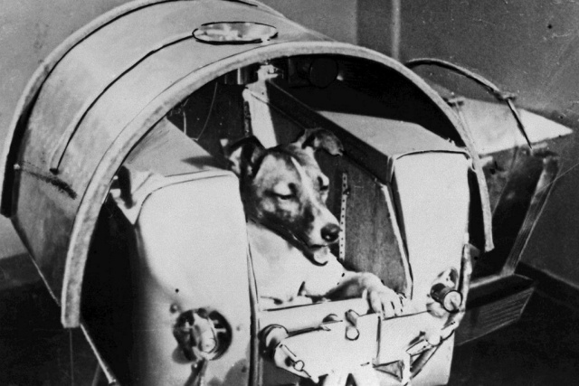 laika-creature-space-sputnik-2-november-1957-crop-1697095164927