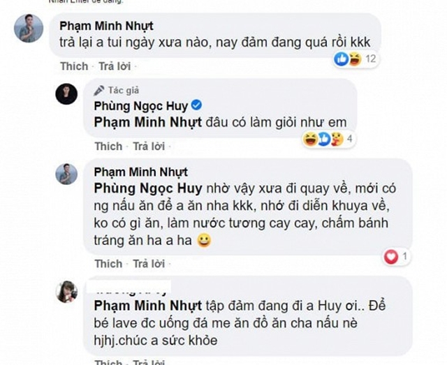 phung-ngoc-huy-mai-phuong-1