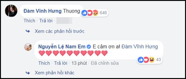 dam-vinh-hung-nam-em-1