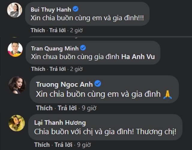 ha-anh-1