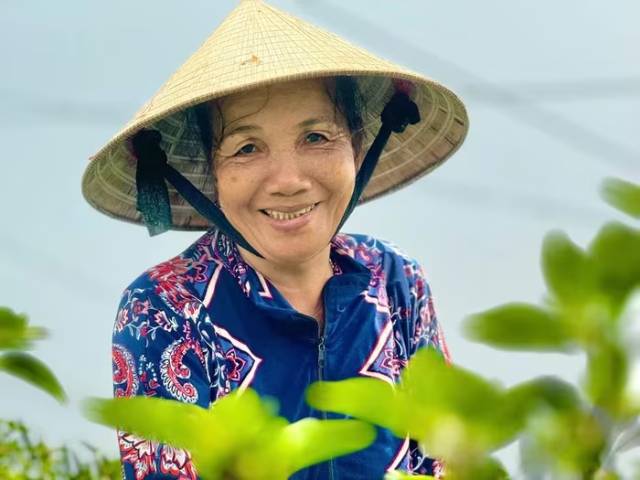 gia-ot-quang-ngai-tang-cao-ky-luc-2