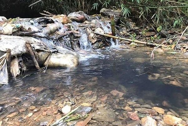 Công ty nước sạch Sông Đà lên tiếng xin lỗi và hứa bồi thường sau sự cố ô nhiễm nguồn nước
