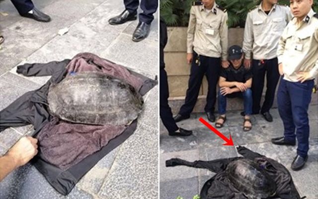 Éo le câu chuyện người đàn ông câu trộm ‘cụ rùa’ Hồ Gươm: Tìm thấy gia đình thất lạc vì bị bắt