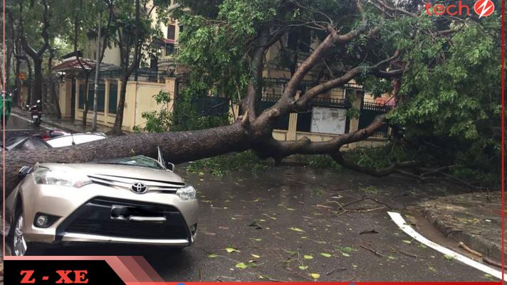 Hà Nội mưa giông lớn, cây đổ đè bẹp xe Toyota Vios