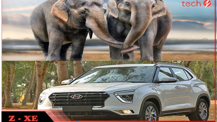Xe Hyundai Creta 2020 sắp về Việt Nam có thể chịu được sức nặng của 2 con voi châu Phi!