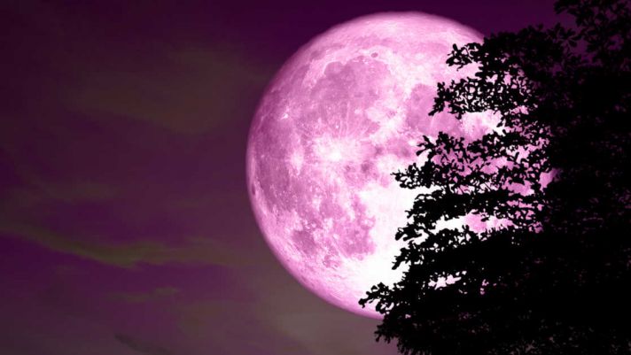 “Siêu trăng hồng” lớn nhất năm 2020 sắp xuất hiện trong tháng 4