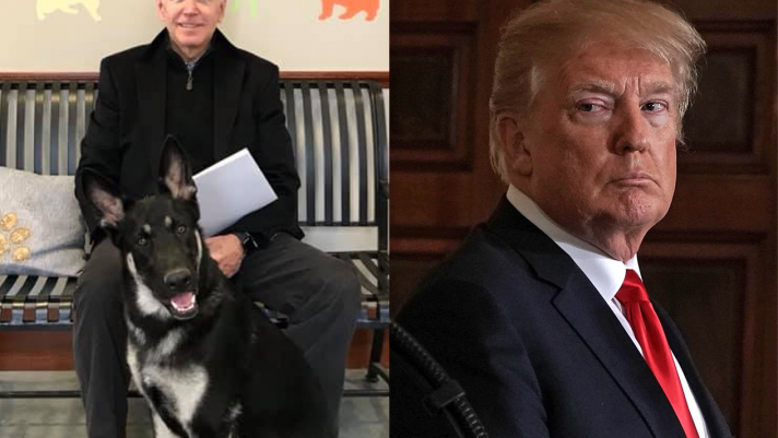 Joe Biden tổ chức lễ nhậm chức cho chó, chọc giận người dân Mỹ bằng tấm ảnh xúc phạm Donald Trump