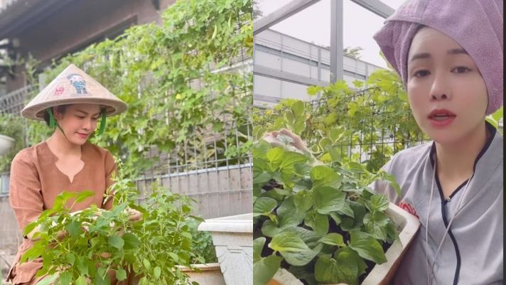 Nhật Kim Anh rao bán rau trồng được trong biệt thự triệu đô, màn 'hét giá' khiến CĐM ngã ngửa