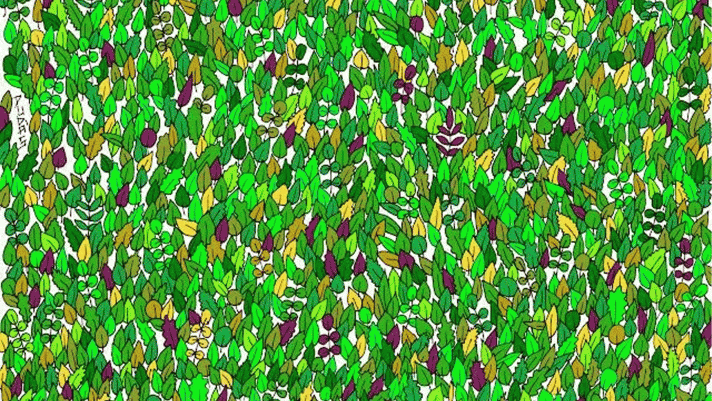Quizz: 1 con ếch đang ẩn giữa một đống lá khổng lồ, bạn có thể tìm ra nó để lot top 1% hàng đầu?