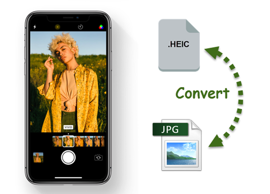 Cách chuyển đổi ảnh HEIC sang JPG trên iPhone cực kỳ nhanh chóng