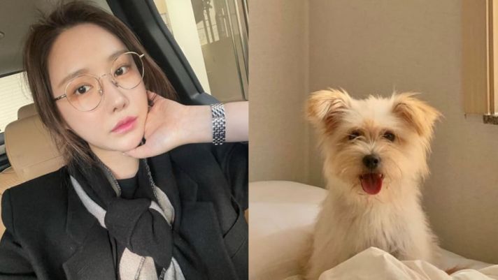 Nữ thần tượng Minyoung (Brave Girls) tìm thấy cún cưng nhờ fan hâm mộ