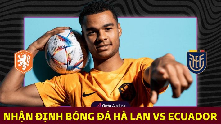 Nhận định bóng đá Hà Lan vs Ecuador, bảng A World Cup 2022: Cơn lốc màu da cam độc chiếm ngôi đầu?