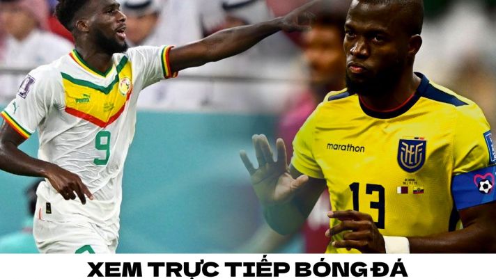 Xem trực tiếp bóng đá Ecuador vs Senegal ở đâu, kênh nào? - Link xem World Cup 2022 trên VTV