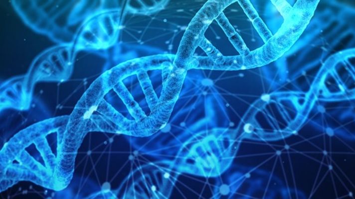 Khám phá mới về DNA con người: Hé lộ nỗ lo sợ về quyền riêng tư cá nhân bị xâm phạm