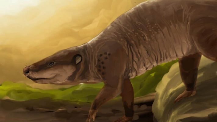 Lộ diện danh tính quái vật ăn thịt khủng long 145 triệu năm trước khiến giới khoa học choáng váng