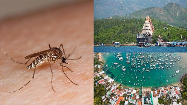 Hòn đảo duy nhất ở Việt Nam được chọn để thả muỗi, lý do phía sau là gì?