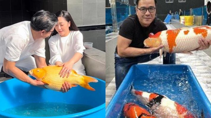 Vua cá Koi Việt Nam sở hữu trang trại cá đẳng cấp thế giới: Có năng lực đặc biệt thi Siêu Trí Tuệ 
