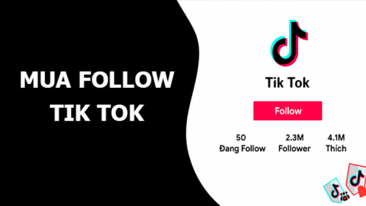 Bật mí cách tăng follow TikTok nhanh chóng của các idol mới