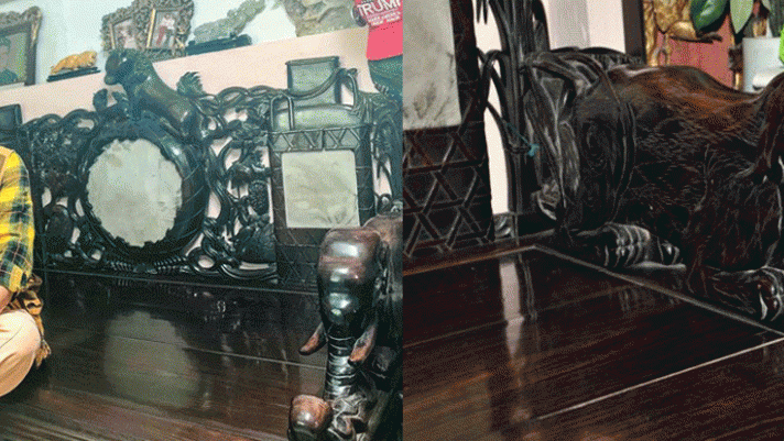 Chiếc sập bằng gỗ lệ chi 300 tuổi duy nhất ở Việt Nam: Chủ nhân từ chối bán khi được trả giá 40 tỷ