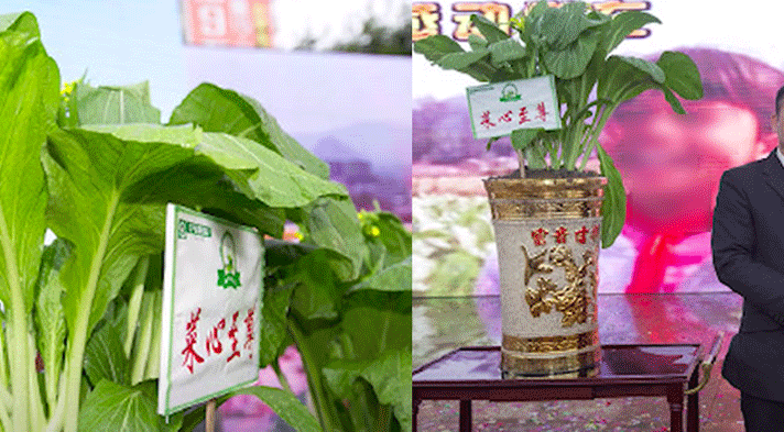 Loại rau từng được đấu giá hơn 2 tỷ/cây: Sản phẩm biểu tượng của Trung Quốc, quen thuộc ở Việt Nam