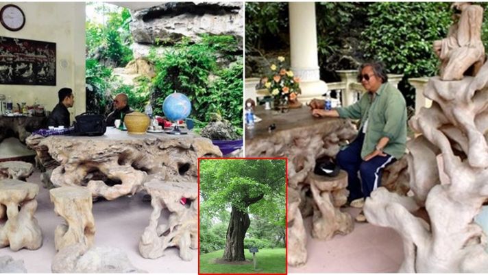Bộ bàn ghế độc nhất Việt Nam: Làm từ 'báu vật rừng xanh' 3.500 tuổi, ngã giá hàng tỷ đồng không bán