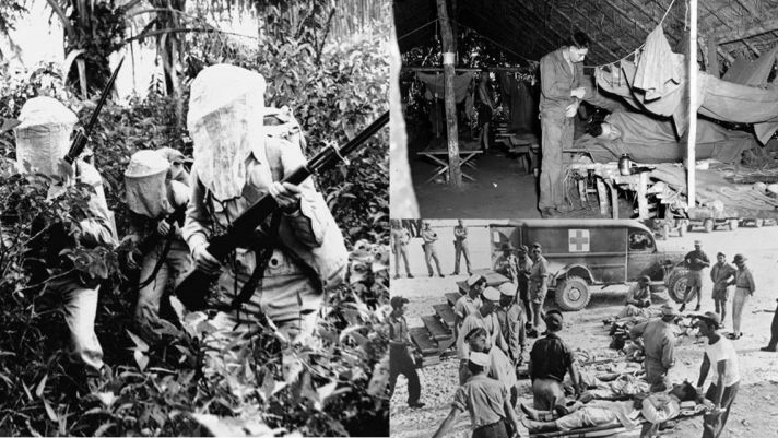 3 động vật đáng sợ nhất thế giới từng khiến lính Mỹ kinh hãi: Có 1 loài cực quý hiếm của Việt Nam