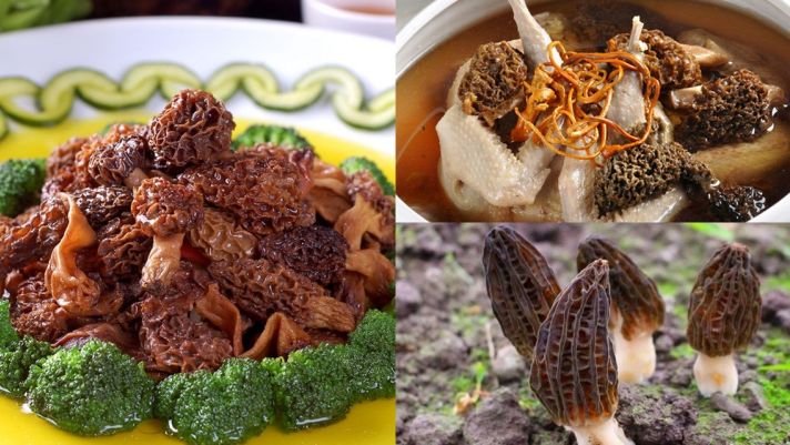 Việt Nam sở hữu loại nấm quý hiếm bậc nhất thế giới, là vua của các loài nấm, tên gọi độc nhất vô nhị