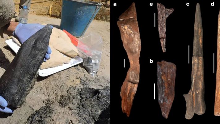 Hiện vật gỗ lâu đời nhất thế giới, có 500 nghìn năm tuổi và bí ẩn đằng sau liên quan tới tổ tiên loài người