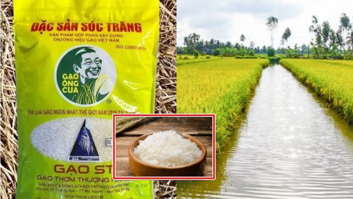 Loại gạo Việt Nam từng đạt danh hiệu ngon nhất thế giới: Giúp chục hàng ngàn hộ dân thoát nghèo