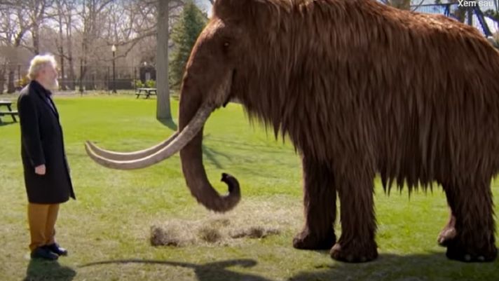 Giáo sư của Trường Y Harvard liệu có thể hồi sinh loài voi ma mút lông xoăn đã tuyệt chủng từ 10.000 năm trước?