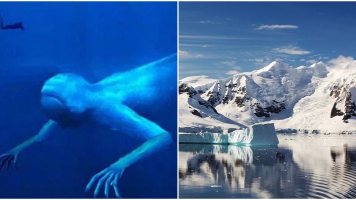 Sinh vật bí ẩn có 2 tay giống con người, dài 30m từng xuất hiện dưới đại dương ở Nam Cực thách đố các nhà khoa học