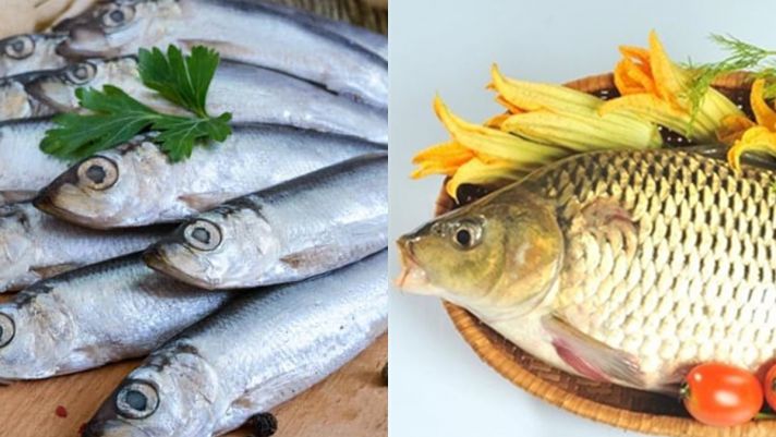 Top 6 loại cá có nhiều chất bổ dưỡng tuyệt vời cho sức khỏe lại có giá hợp lý, mua ngay đừng chần chừ!