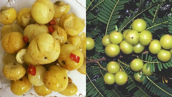 Núi rừng Tây Bắc Việt Nam có một loại quả được hội chị em ‘săn lùng’ vì hương vị độc lạ