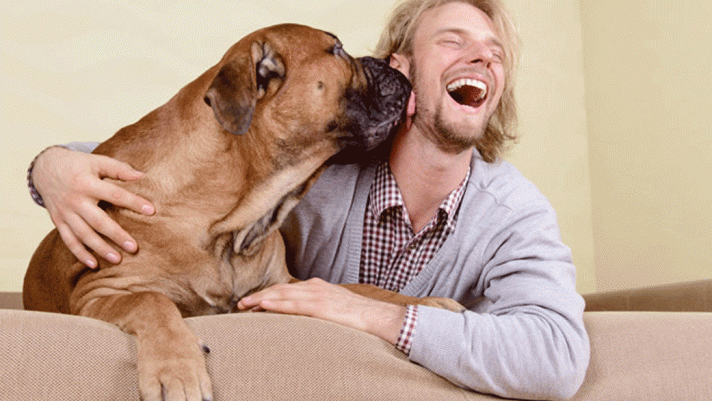 Nhà thần kinh học giải đáp lý do chó có thể hiểu được tiếng người           