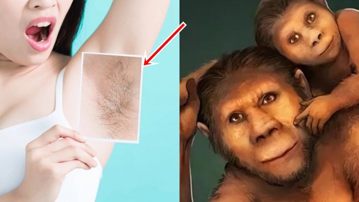 Con người rụng lông từ 1,14 triệu năm trước, cớ sao vẫn giữ lại vùng lông ở nách?
