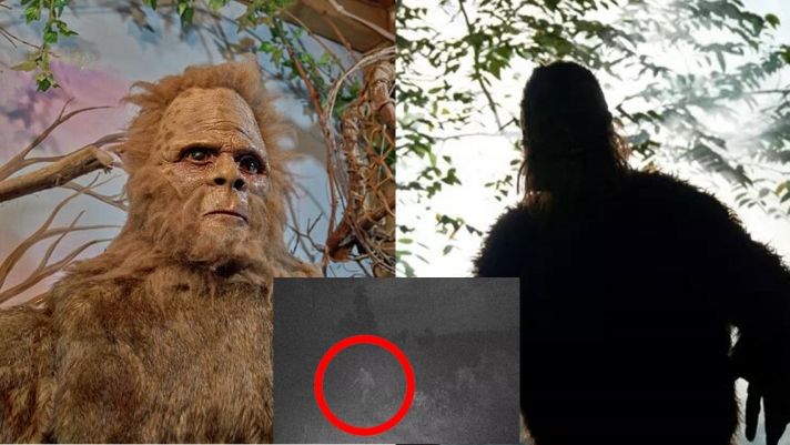 Quái vật Bigfoot hiện nguyên hình giữa màn đêm, ảnh cận cảnh khiến netizen thế giới sửng sốt?