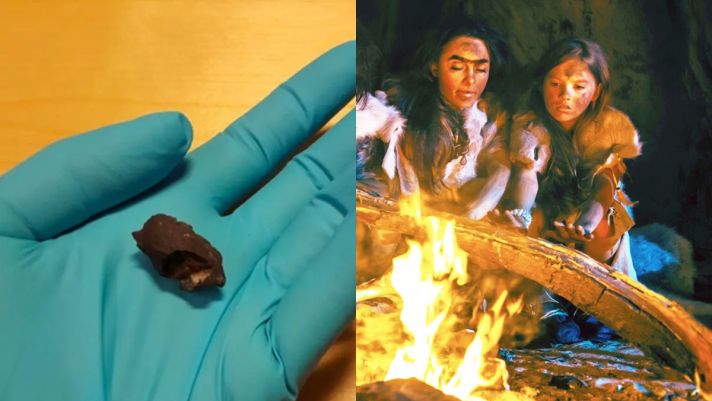 Hóa ra người tiền sử cũng ăn kẹo cao su, giới khoa học ngỡ ngàng khi phát hiện mẫu kẹo 10.000 năm tuổi
