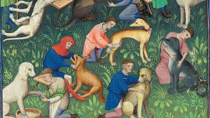 Những sự thật thú vị về việc nuôi chó làm thú cưng vào thời Trung cổ: Chó thể hiện đẳng cấp quý tộc