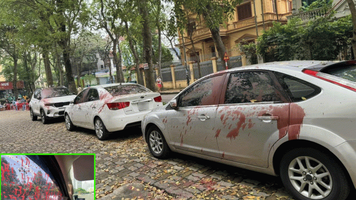 Hà Nội: Công an truy tìm đối tượng tạt sơn đỏ vào hàng loạt ô tô gây xôn xao cư dân mạng