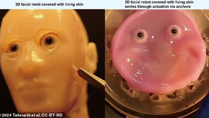 Rùng rợn: Các nhà nghiên cứu Nhật Bản tạo ra robot có khuôn mặt làm từ da người