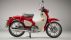 Honda Super Cub C125 ABS 2020 chính thức ra mắt, chốt giá ngang SH 125i