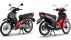 Yamaha Finn 115 siêu tiết kiệm xăng, đối thủ đáng gờm của Honda Wave