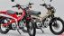 Cận cảnh Honda CT125 2020: Đẹp như Super Cub C125 nhưng được nâng cấp toàn diện 