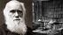 Các nhà nghiên cứu lần đầu tiết lộ về thư viện bị thất lạc của Charles Darwin