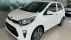 Giá lăn bánh Kia Morning đầu tháng 6/2024 ở mức ‘rẻ như rau’, đẩy Hyundai Grand i10 vào thế khó